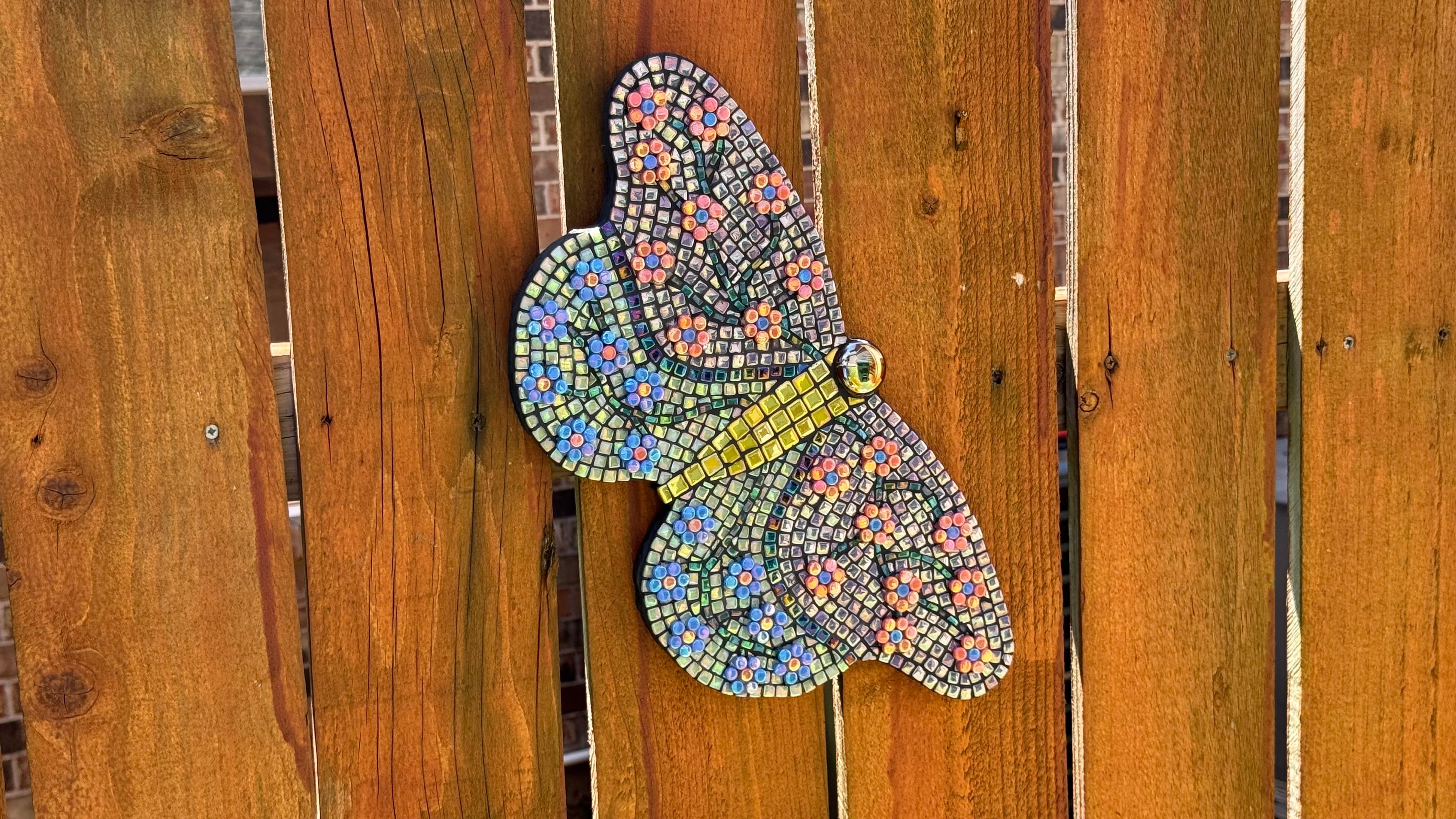 Fancy Fence Butterfly - Field of Rainbows