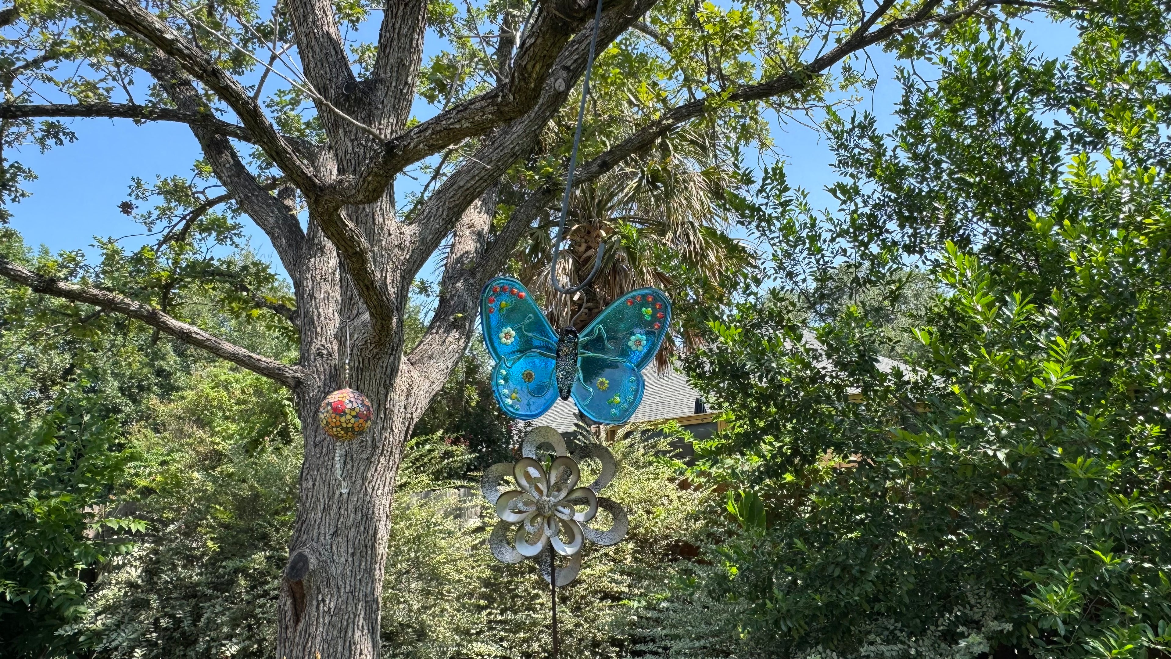 Glass Butterfly - WhisperWing
