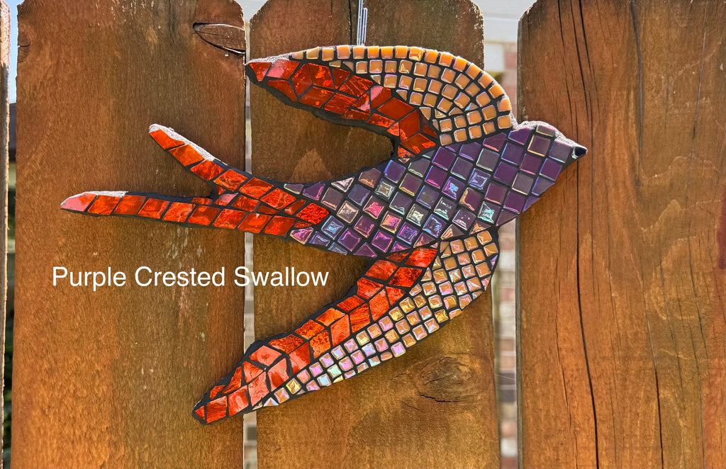 Garden Swallows
