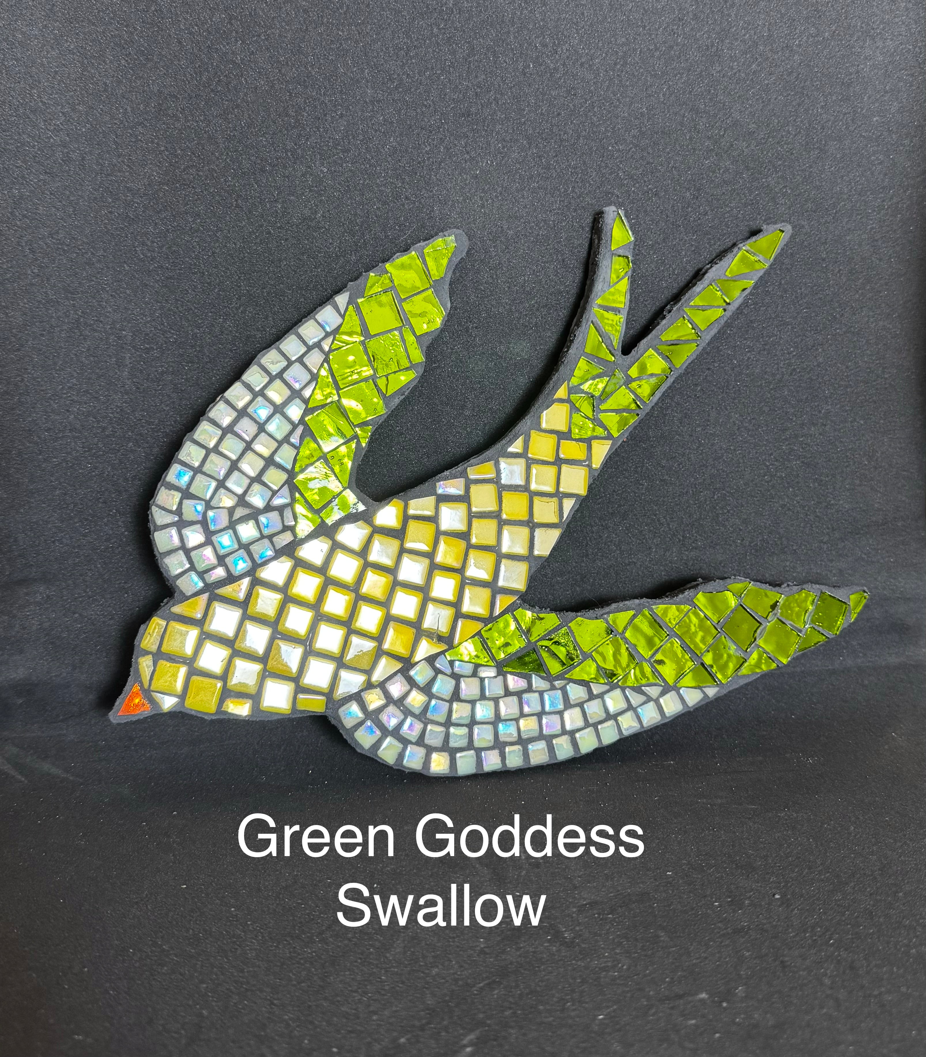 Garden Swallows