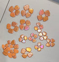 Flower Petals